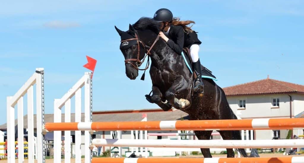 Person jumping a horse over a barrier to illustrate concept of financial obstacles.