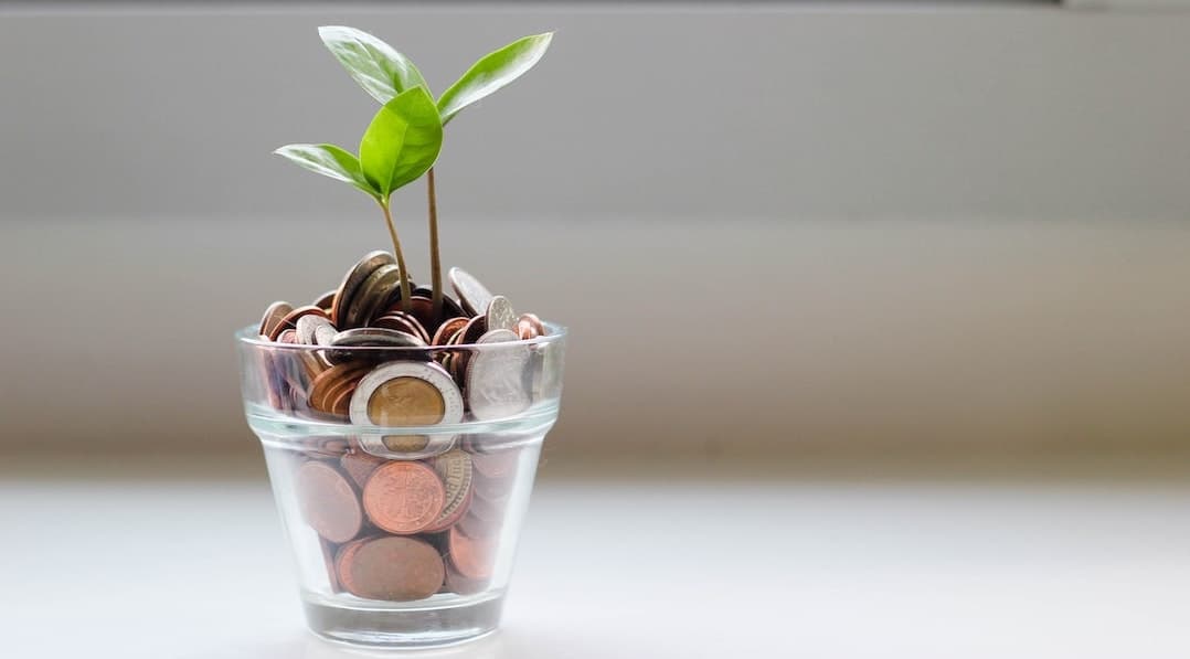 A plant growing out of a container of coins to represent the growth and your life's work.